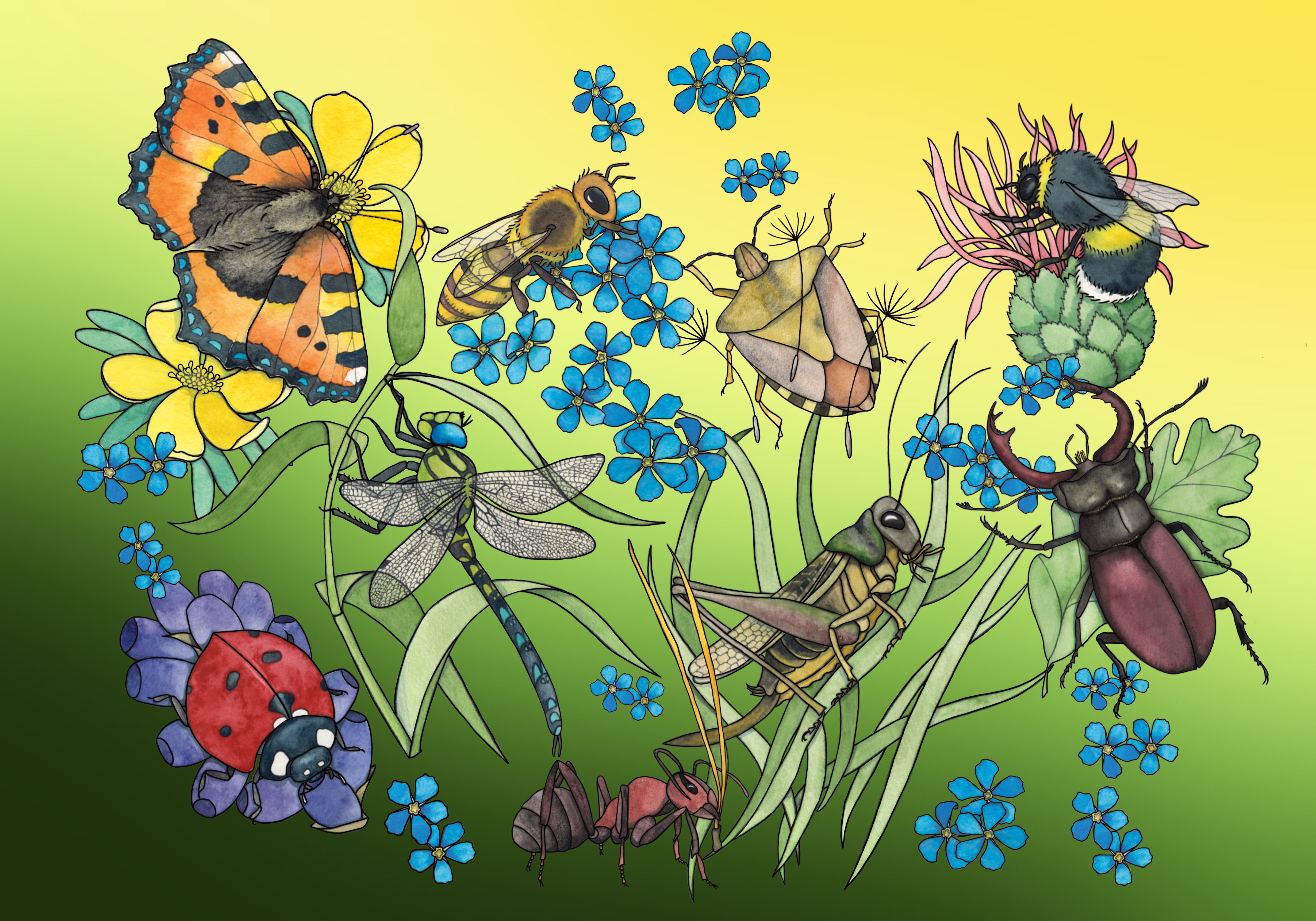 Underlägg insekter